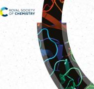 Medicinal Chemistry Summer School 2024 | World Federation of Scientists